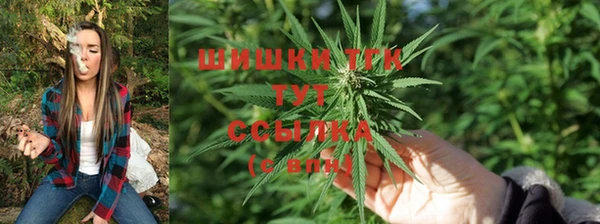 молекула духа Михайловка