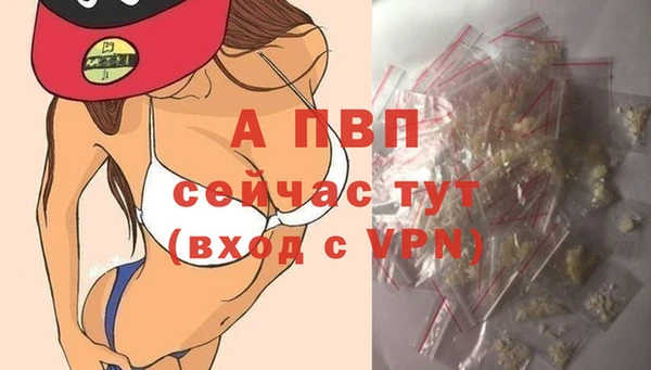 COCAINE Михайлов
