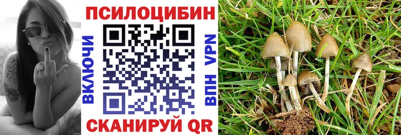 Галлюциногенные грибы прущие грибы  Иркутск 