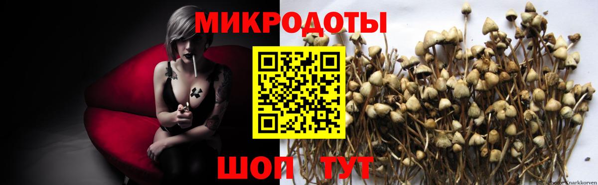 Псилоцибиновые грибы MAGIC MUSHROOMS  Псилоцибиновые грибы Cubensis  цены   Иркутск 