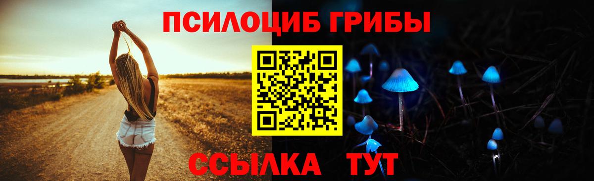 Псилоцибиновые грибы прущие грибы  Вход с VPN  Псилоцибиновые грибы мицелий  Иркутск 
